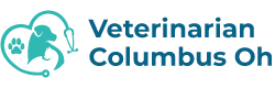 top-rated veterinarian clinic Georgetown