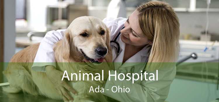 Animal Hospital Ada - Ohio
