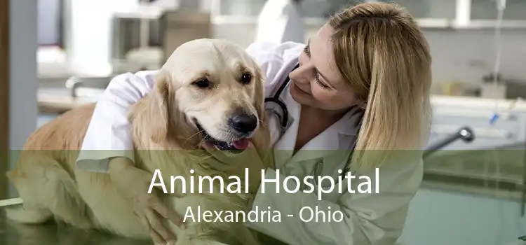 Animal Hospital Alexandria - Ohio