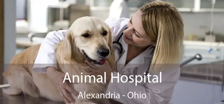 Animal Hospital Alexandria - Ohio