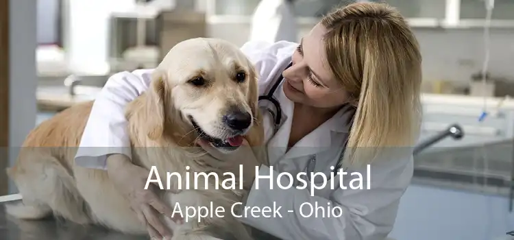 Animal Hospital Apple Creek - Ohio
