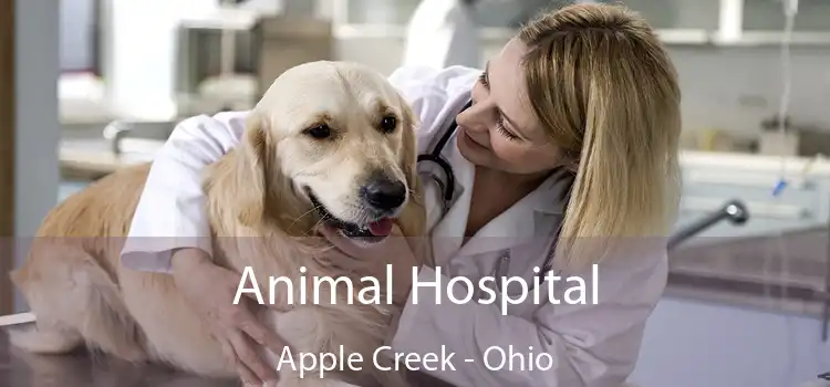 Animal Hospital Apple Creek - Ohio