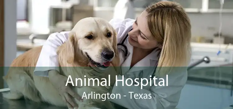 Animal Hospital Arlington - Texas