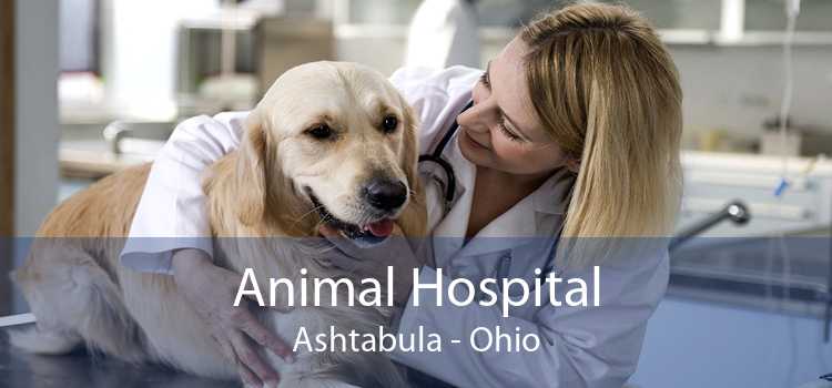 Animal Hospital Ashtabula - Ohio