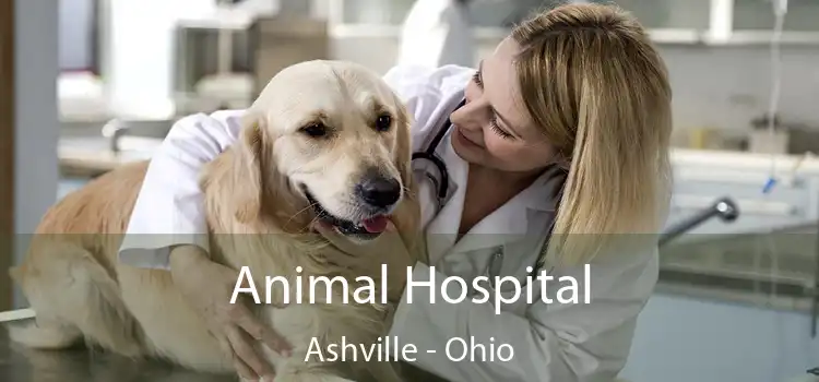 Animal Hospital Ashville - Ohio