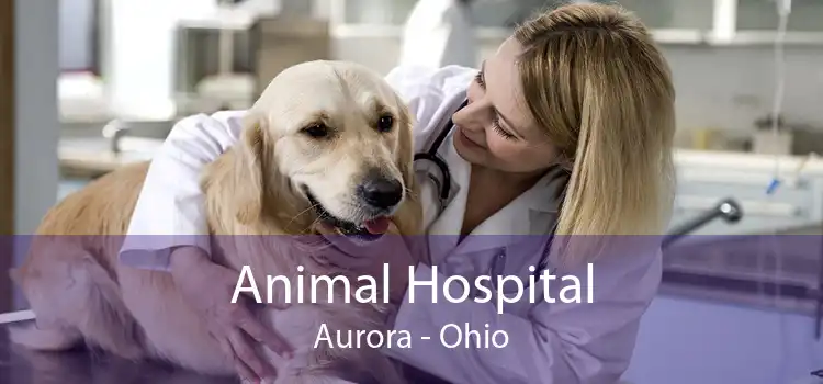 Animal Hospital Aurora - Ohio