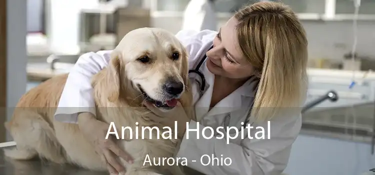 Animal Hospital Aurora - Ohio