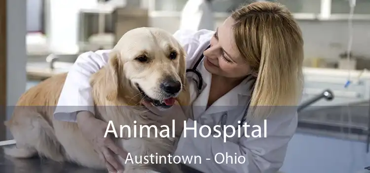 Animal Hospital Austintown - Ohio