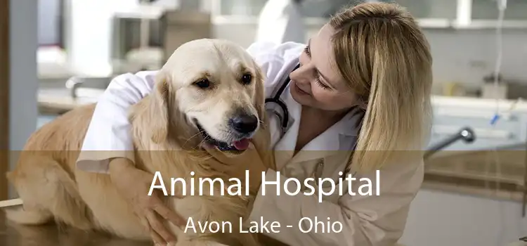 Animal Hospital Avon Lake - Ohio