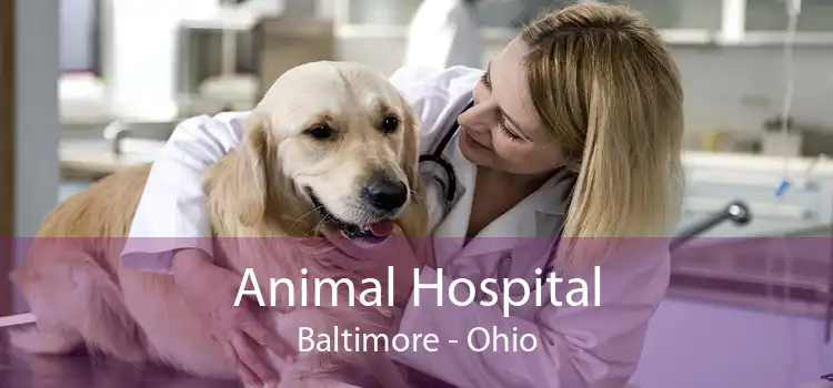 Animal Hospital Baltimore - Ohio