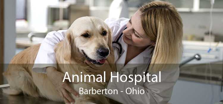 Animal Hospital Barberton - Ohio
