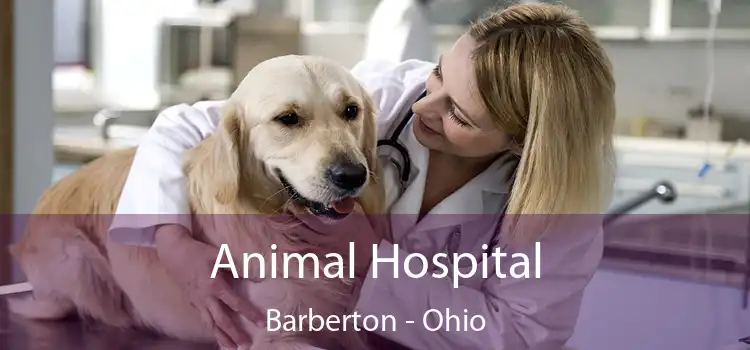Animal Hospital Barberton - Ohio