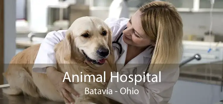Animal Hospital Batavia - Ohio