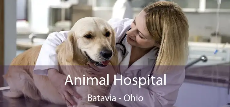 Animal Hospital Batavia - Ohio