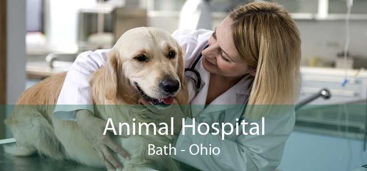 Animal Hospital Bath - Ohio