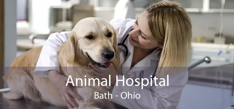 Animal Hospital Bath - Ohio