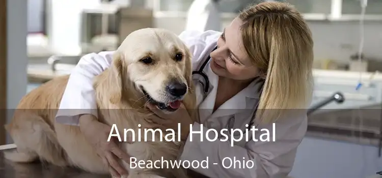 Animal Hospital Beachwood - Ohio