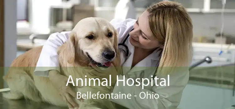 Animal Hospital Bellefontaine - Ohio