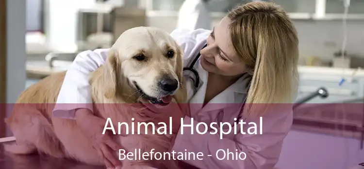 Animal Hospital Bellefontaine - Ohio