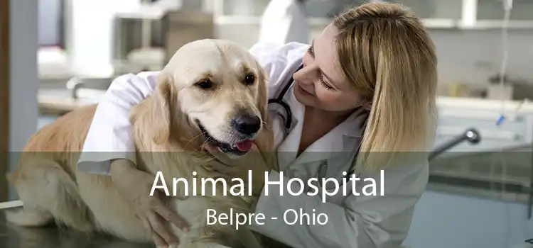 Animal Hospital Belpre - Ohio