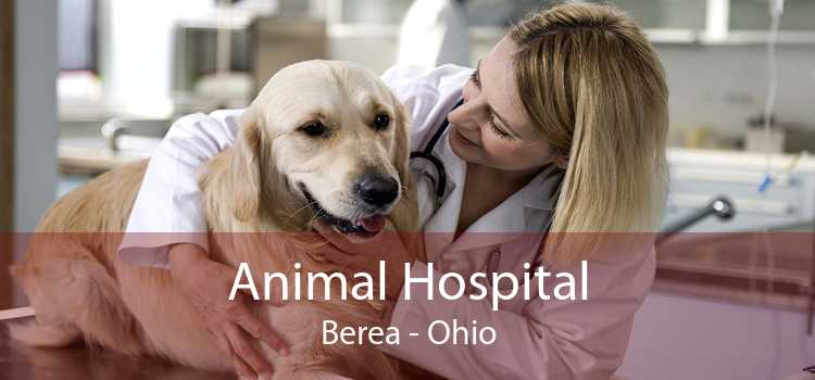 Animal Hospital Berea - Ohio