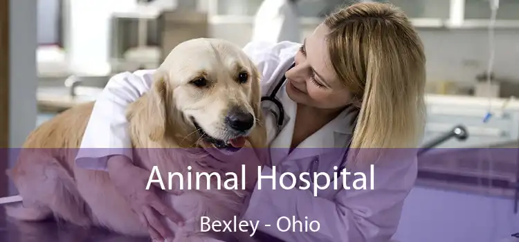 Animal Hospital Bexley - Ohio