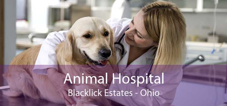 Animal Hospital Blacklick Estates - Ohio