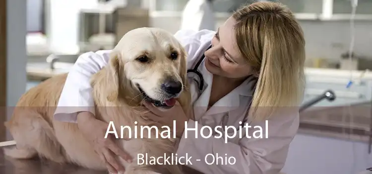 Animal Hospital Blacklick - Ohio