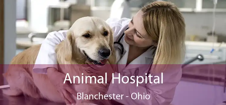 Animal Hospital Blanchester - Ohio