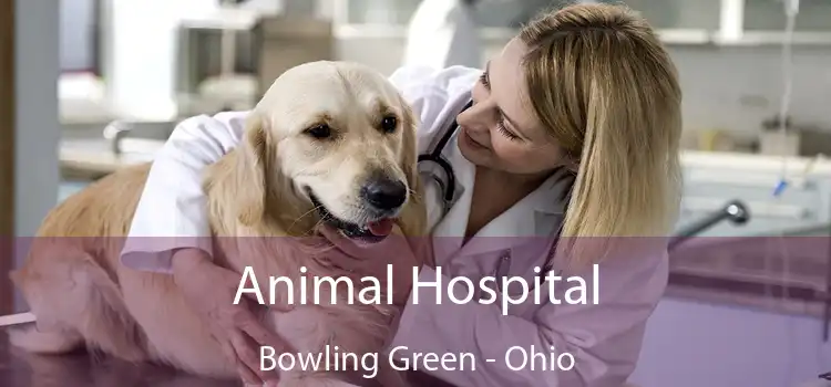 Animal Hospital Bowling Green - Ohio