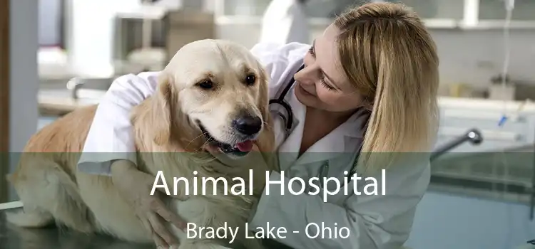 Animal Hospital Brady Lake - Ohio