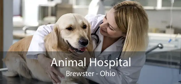 Animal Hospital Brewster - Ohio