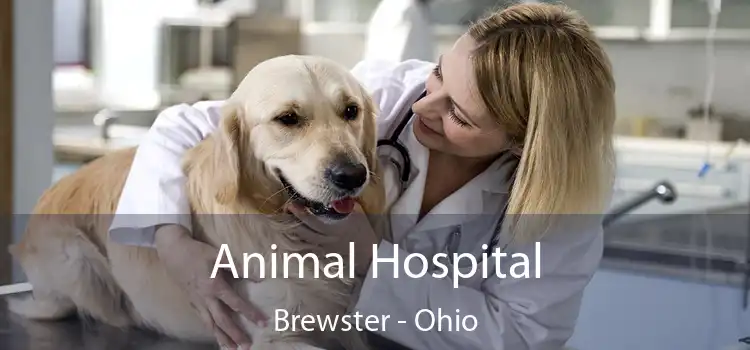 Animal Hospital Brewster - Ohio