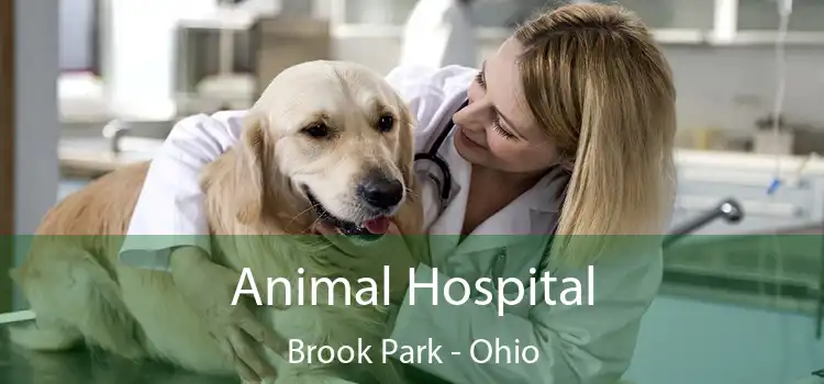 Animal Hospital Brook Park - Ohio