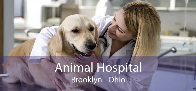 Animal Hospital Brooklyn - Ohio