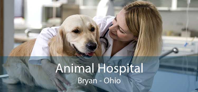 Animal Hospital Bryan - Ohio