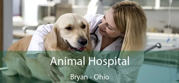 Animal Hospital Bryan - Ohio