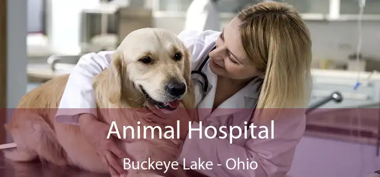 Animal Hospital Buckeye Lake - Ohio
