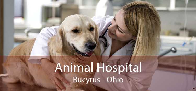 Animal Hospital Bucyrus - Ohio