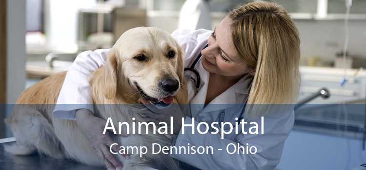 Animal Hospital Camp Dennison - Ohio