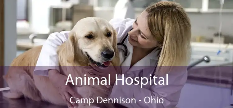 Animal Hospital Camp Dennison - Ohio