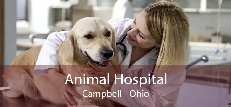 Animal Hospital Campbell - Ohio