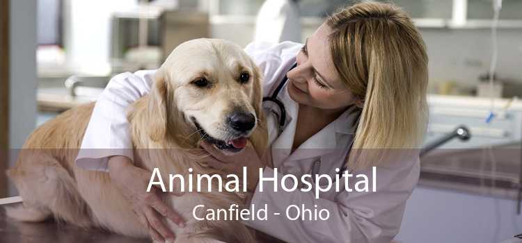 Animal Hospital Canfield - Ohio
