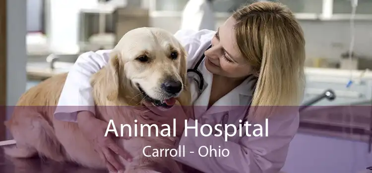 Animal Hospital Carroll - Ohio