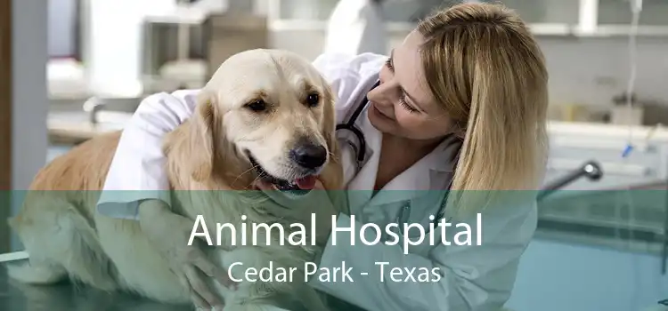 Animal Hospital Cedar Park - Texas