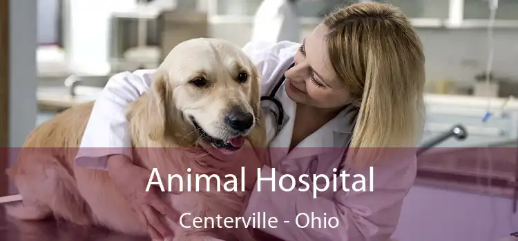 Animal Hospital Centerville - Ohio