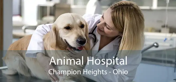 Animal Hospital Champion Heights - Ohio