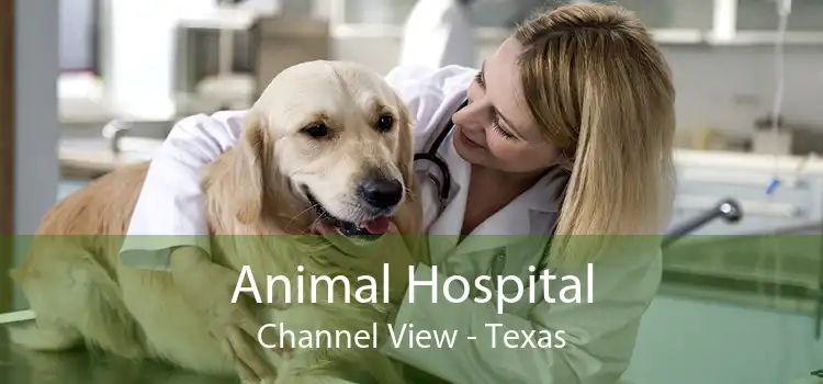 Animal Hospital Channel View - Texas