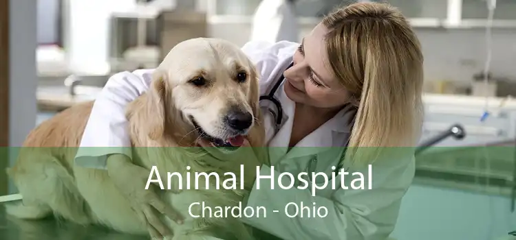 Animal Hospital Chardon - Ohio