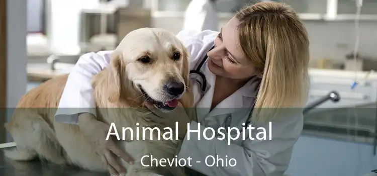 Animal Hospital Cheviot - Ohio